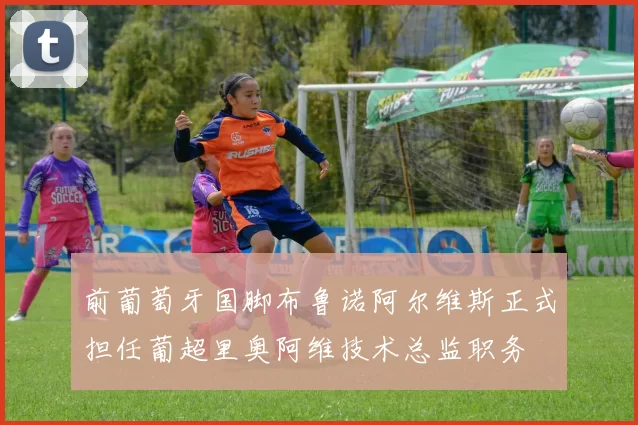 前葡萄牙国脚布鲁诺阿尔维斯正式担任葡超里奥阿维技术总监职务
