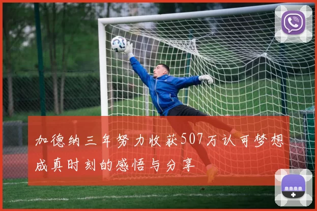 加德纳三年努力收获507万认可梦想成真时刻的感悟与分享